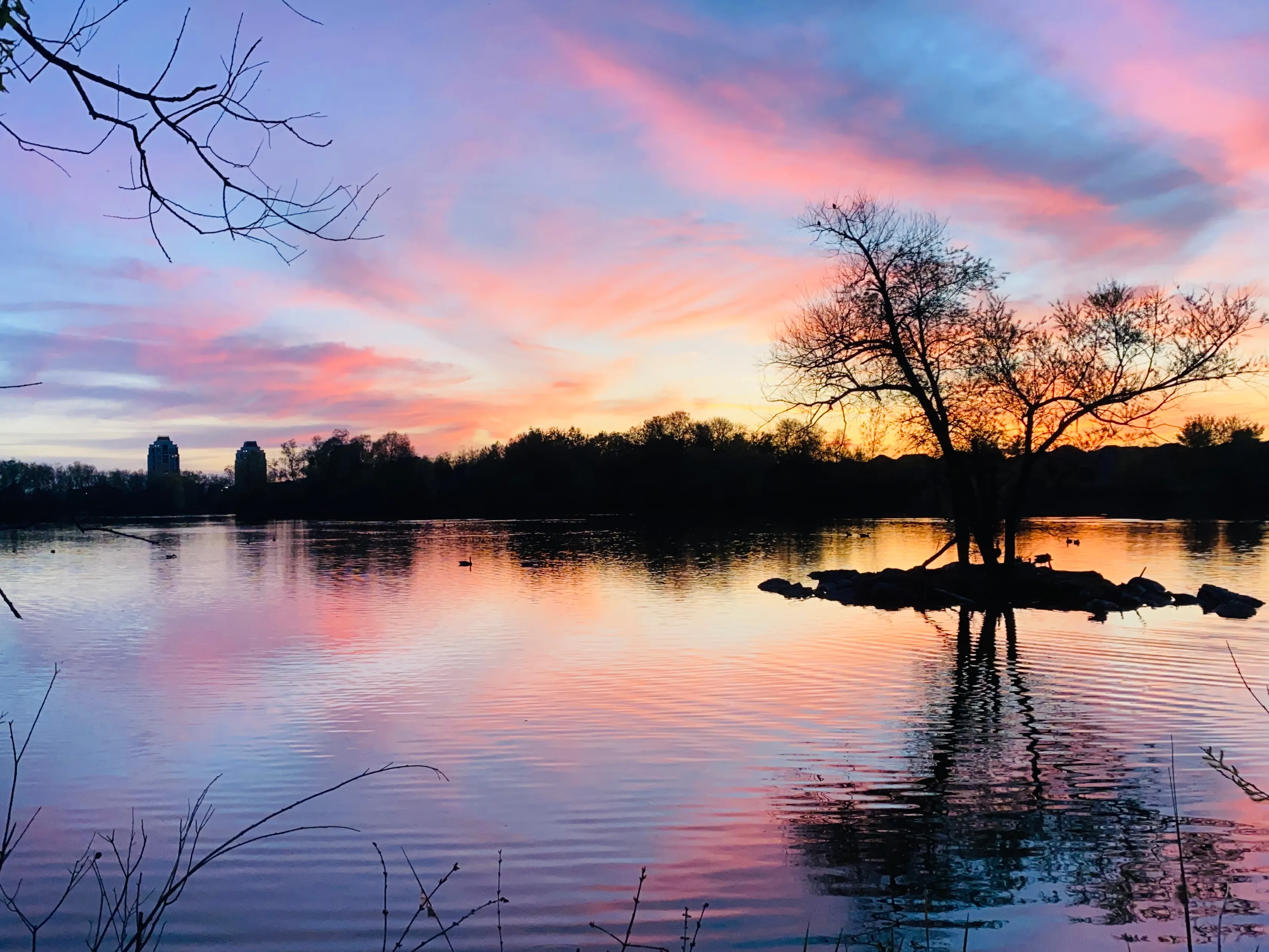 Sam Li Sunset